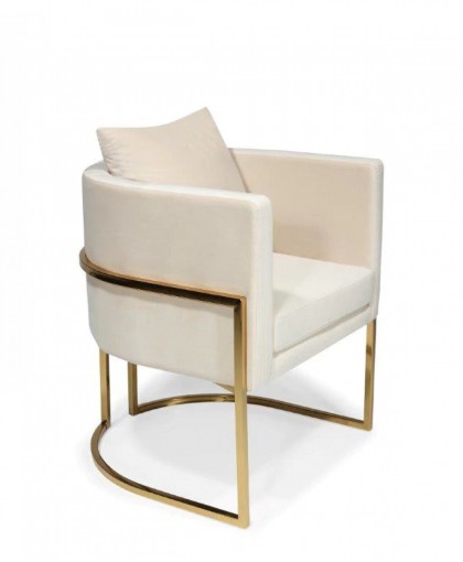 Luxury Upholstered Soft Velvelt Dining Chair - Horizon